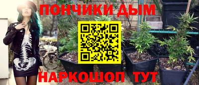 индика Будённовск