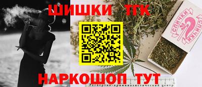 индика Будённовск