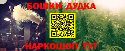 индика Будённовск