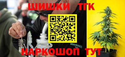 индика Будённовск