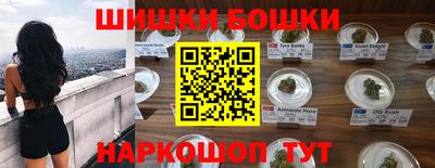 индика Будённовск