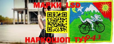 индика Будённовск