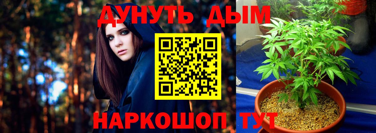 Нижнекамск  Бошки Шишки марихуана  МАРИХУАНА планчик  Каннабис VHQ  Вход с VPN 